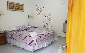 Hotel Las Palmas